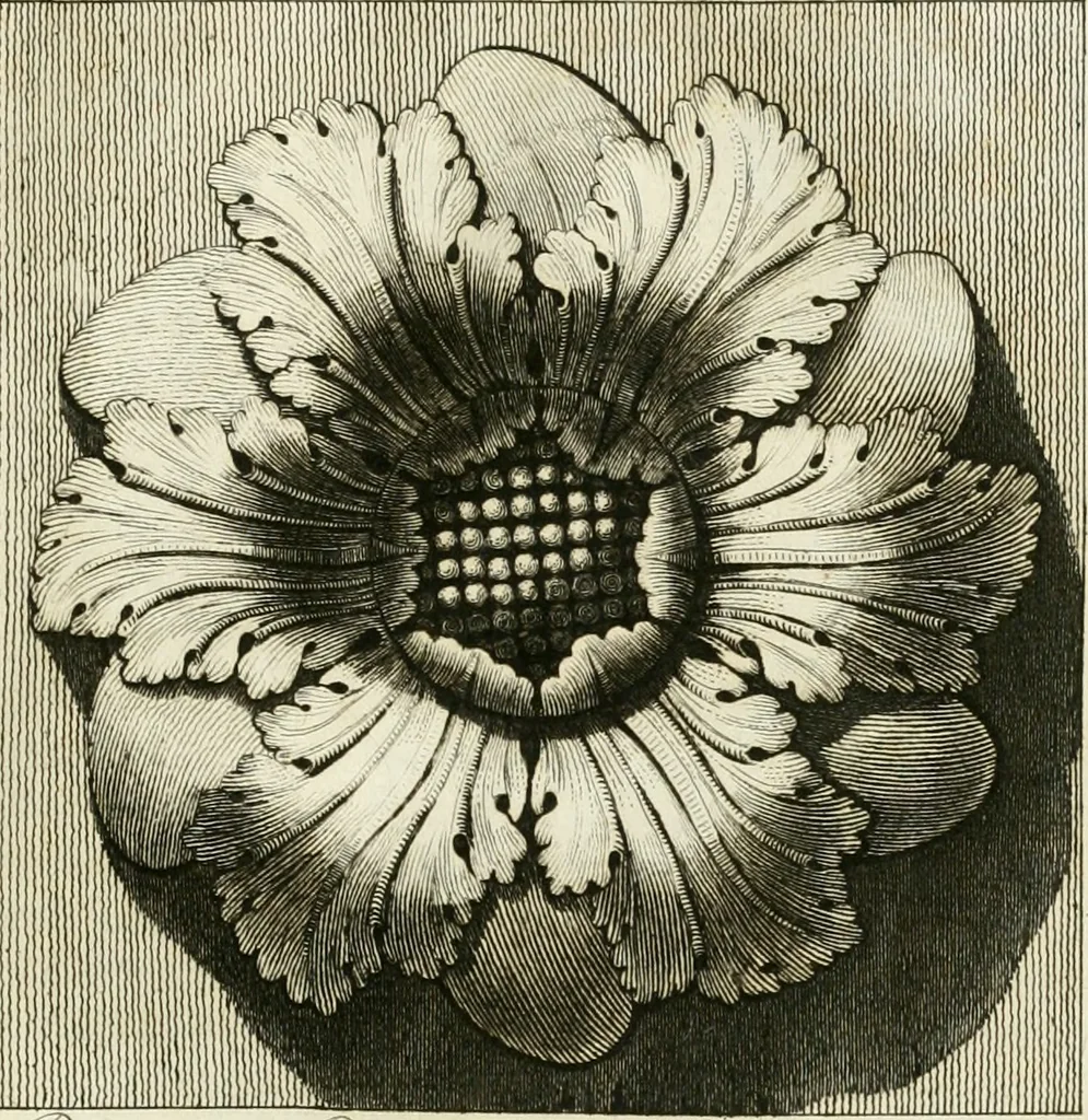 An illustration from Manuale di varj ornamenti tratti dalle fabbriche, e frammenti antichi : per uso, e commodo de' pittori, scultori, architetti, scarpellini, stuccatori, intagliatori di pietre, e legni, argentieri, giojellieri, ricamatori, ebanisti & c., 1781, leaf 26