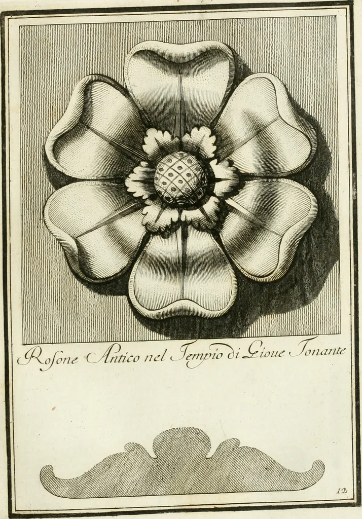 An illustration from Manuale di varj ornamenti tratti dalle fabbriche, e frammenti antichi : per uso, e commodo de' pittori, scultori, architetti, scarpellini, stuccatori, intagliatori di pietre, e legni, argentieri, giojellieri, ricamatori, ebanisti & c., 1781, leaf 34