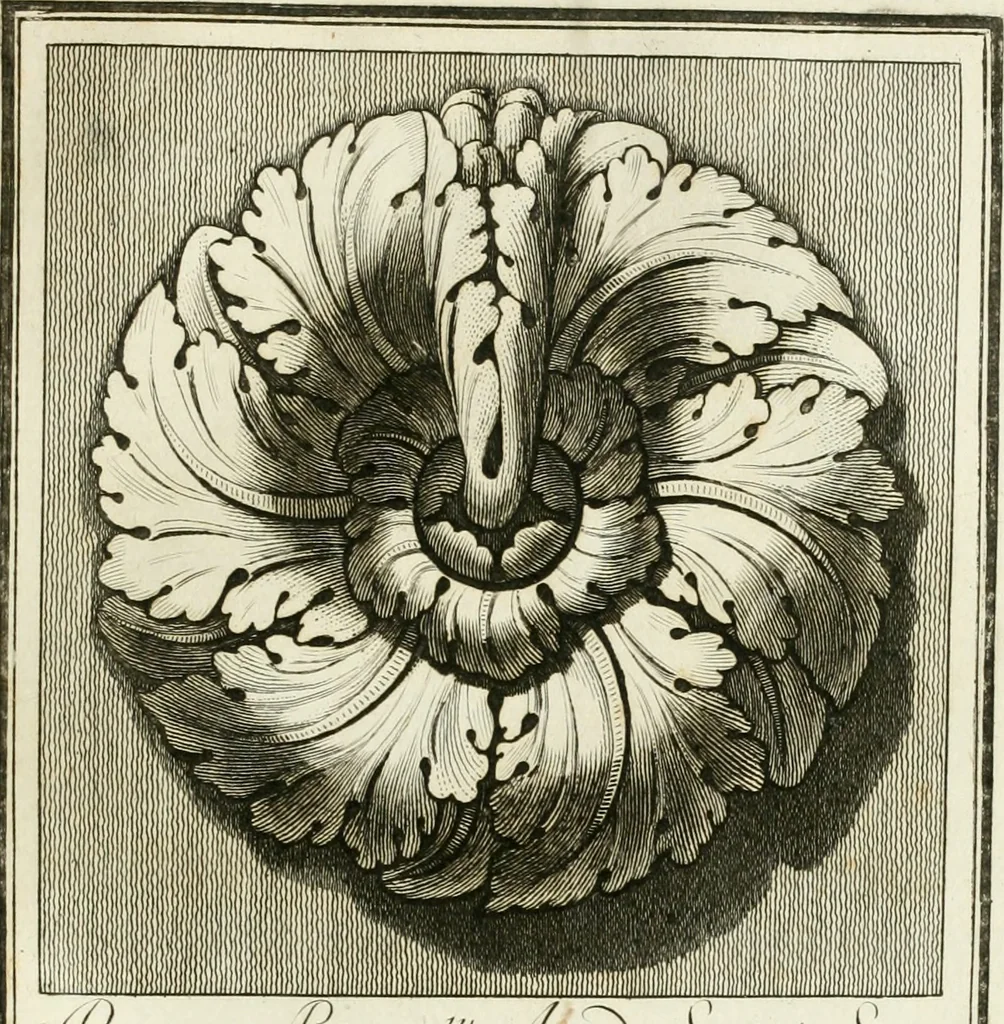 An illustration from Manuale di varj ornamenti tratti dalle fabbriche, e frammenti antichi : per uso, e commodo de' pittori, scultori, architetti, scarpellini, stuccatori, intagliatori di pietre, e legni, argentieri, giojellieri, ricamatori, ebanisti & c., 1781, leaf 46