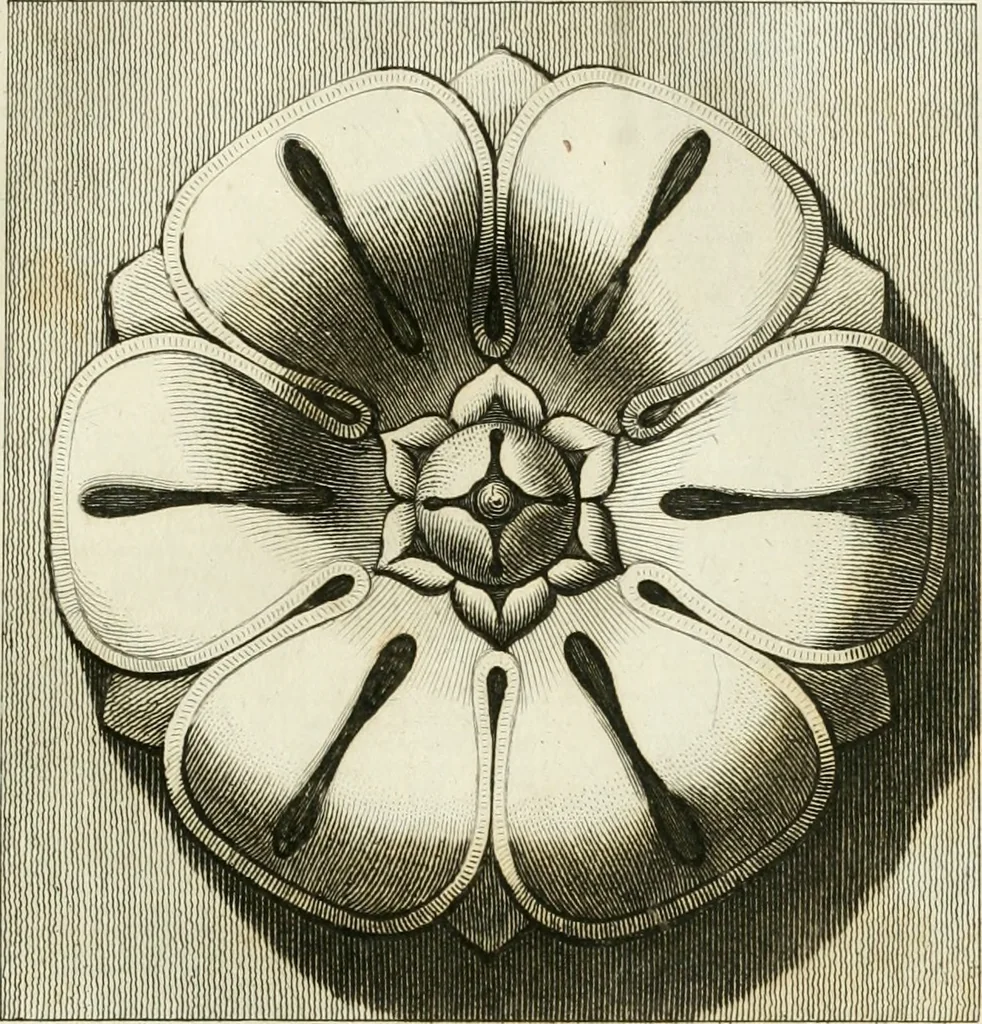 An illustration from Manuale di varj ornamenti tratti dalle fabbriche, e frammenti antichi : per uso, e commodo de' pittori, scultori, architetti, scarpellini, stuccatori, intagliatori di pietre, e legni, argentieri, giojellieri, ricamatori, ebanisti & c., 1781, leaf 52
