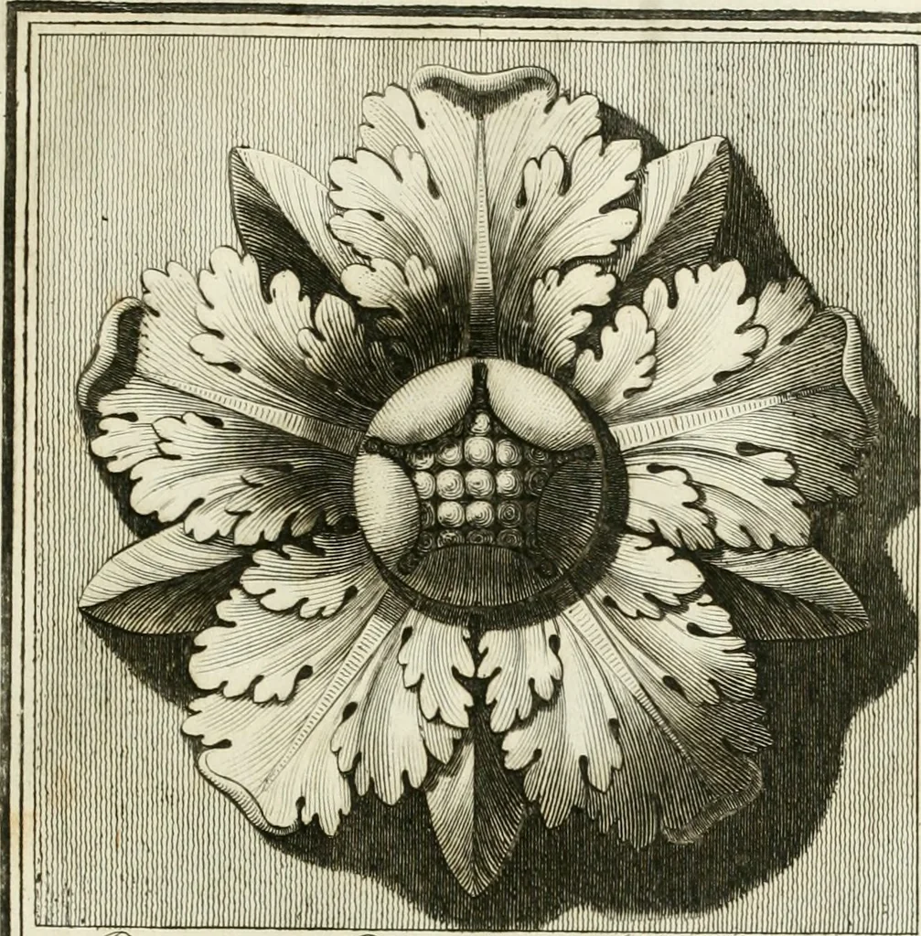 An illustration from Manuale di varj ornamenti tratti dalle fabbriche, e frammenti antichi : per uso, e commodo de' pittori, scultori, architetti, scarpellini, stuccatori, intagliatori di pietre, e legni, argentieri, giojellieri, ricamatori, ebanisti & c., 1781, leaf 62