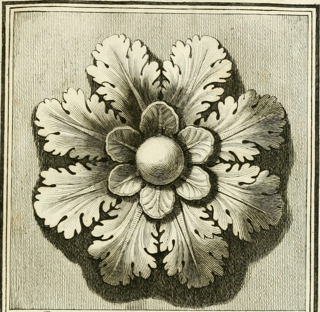 An illustration from Manuale di varj ornamenti tratti dalle fabbriche, e frammenti antichi : per uso, e commodo de' pittori, scultori, architetti, scarpellini, stuccatori, intagliatori di pietre, e legni, argentieri, giojellieri, ricamatori, ebanisti & c., 1781, leaf 70