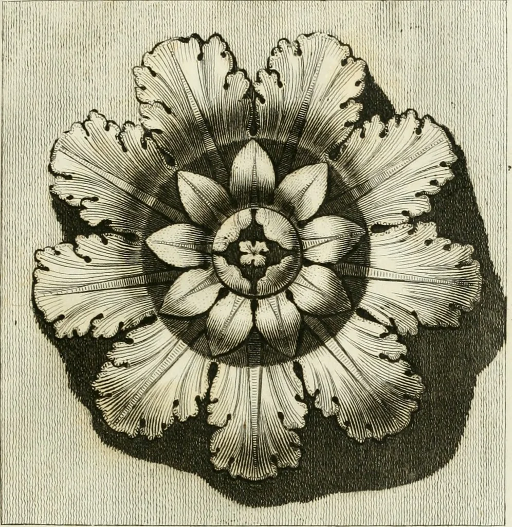 An illustration from Manuale di varj ornamenti tratti dalle fabbriche, e frammenti antichi : per uso, e commodo de' pittori, scultori, architetti, scarpellini, stuccatori, intagliatori di pietre, e legni, argentieri, giojellieri, ricamatori, ebanisti & c., 1781, leaf 76