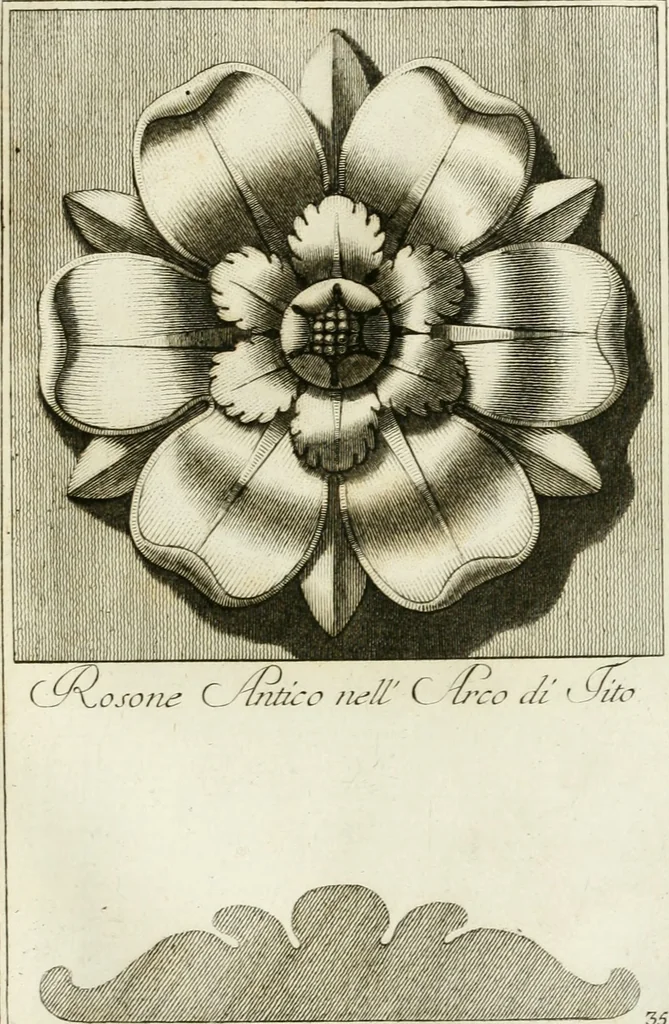 An illustration from Manuale di varj ornamenti tratti dalle fabbriche, e frammenti antichi : per uso, e commodo de' pittori, scultori, architetti, scarpellini, stuccatori, intagliatori di pietre, e legni, argentieri, giojellieri, ricamatori, ebanisti & c., 1781, leaf 80