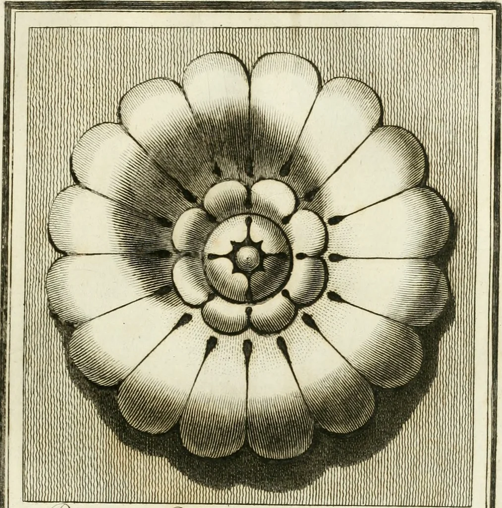 An illustration from Manuale di varj ornamenti tratti dalle fabbriche, e frammenti antichi : per uso, e commodo de' pittori, scultori, architetti, scarpellini, stuccatori, intagliatori di pietre, e legni, argentieri, giojellieri, ricamatori, ebanisti & c., 1781, leaf 84