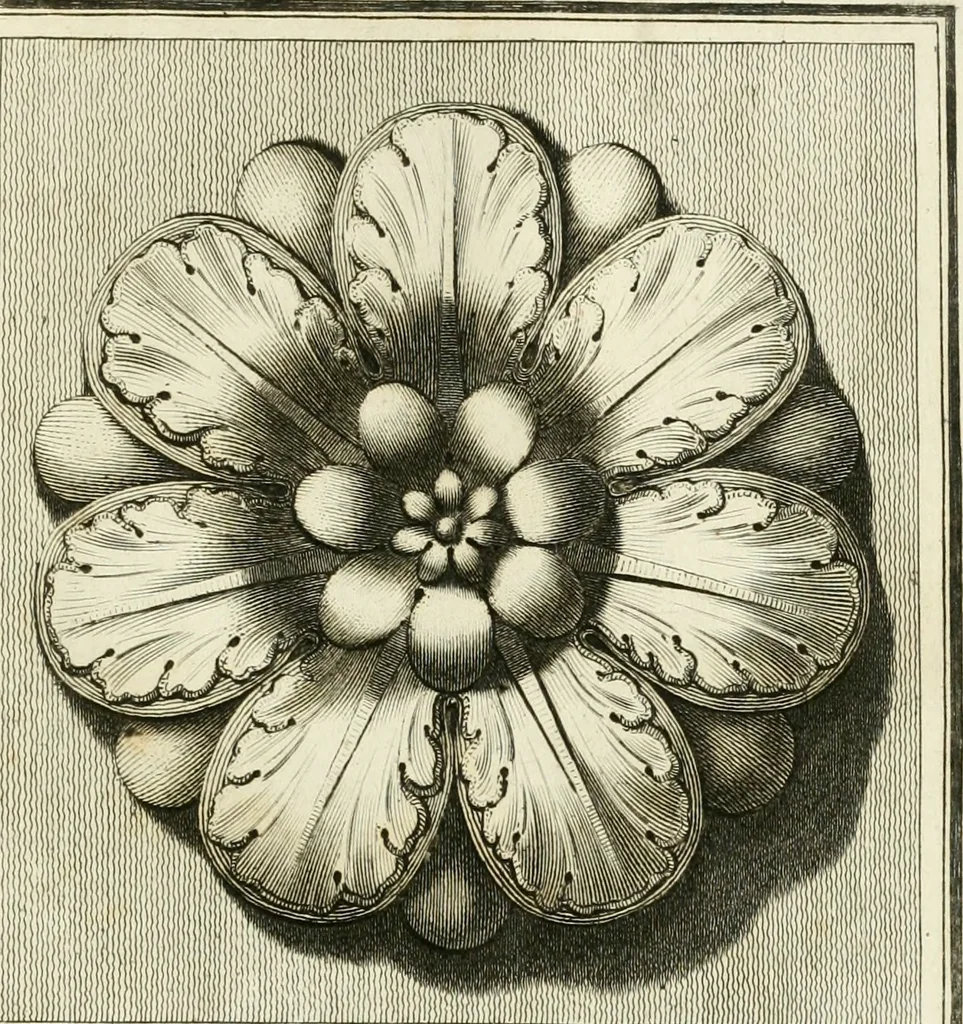 An illustration from Manuale di varj ornamenti tratti dalle fabbriche, e frammenti antichi : per uso, e commodo de' pittori, scultori, architetti, scarpellini, stuccatori, intagliatori di pietre, e legni, argentieri, giojellieri, ricamatori, ebanisti & c., 1781, leaf 100