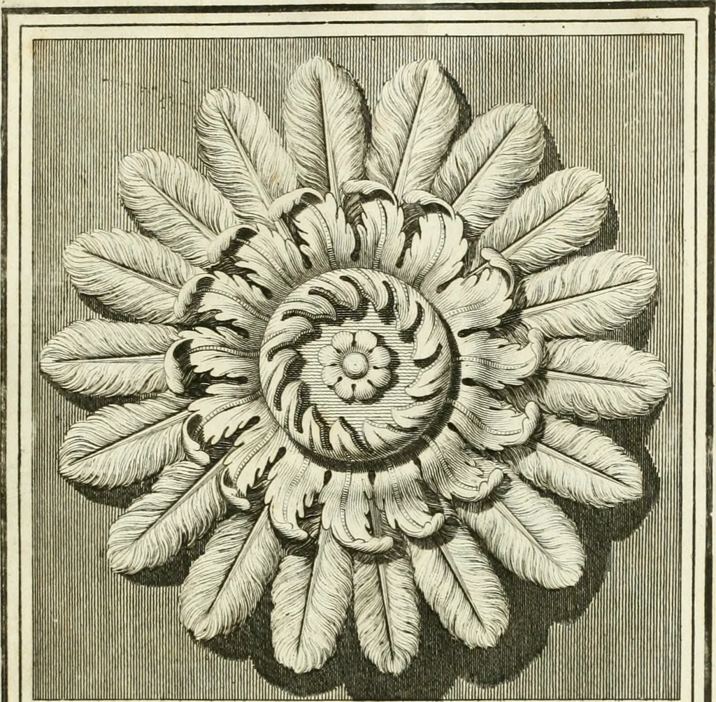 An illustration from Manuale di varj ornamenti tratti dalle fabbriche, e frammenti antichi : per uso, e commodo de' pittori, scultori, architetti, scarpellini, stuccatori, intagliatori di pietre, e legni, argentieri, giojellieri, ricamatori, ebanisti & c., 1781, leaf 12