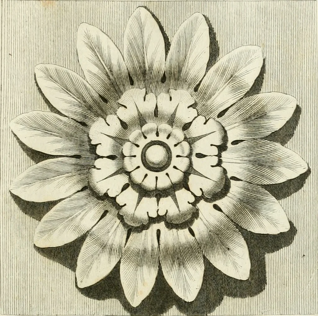 An illustration from Manuale di varj ornamenti tratti dalle fabbriche, e frammenti antichi : per uso, e commodo de' pittori, scultori, architetti, scarpellini, stuccatori, intagliatori di pietre, e legni, argentieri, giojellieri, ricamatori, ebanisti & c., 1781, leaf 14
