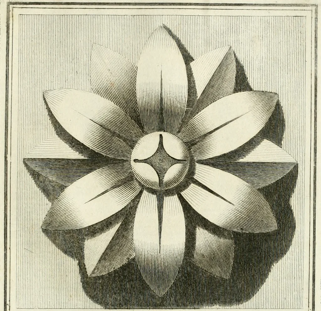An illustration from Manuale di varj ornamenti tratti dalle fabbriche, e frammenti antichi : per uso, e commodo de' pittori, scultori, architetti, scarpellini, stuccatori, intagliatori di pietre, e legni, argentieri, giojellieri, ricamatori, ebanisti & c., 1781, leaf 24