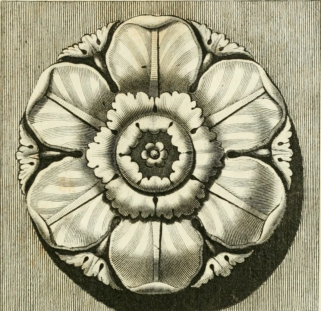 An illustration from Manuale di varj ornamenti tratti dalle fabbriche, e frammenti antichi : per uso, e commodo de' pittori, scultori, architetti, scarpellini, stuccatori, intagliatori di pietre, e legni, argentieri, giojellieri, ricamatori, ebanisti & c., 1781, leaf 28