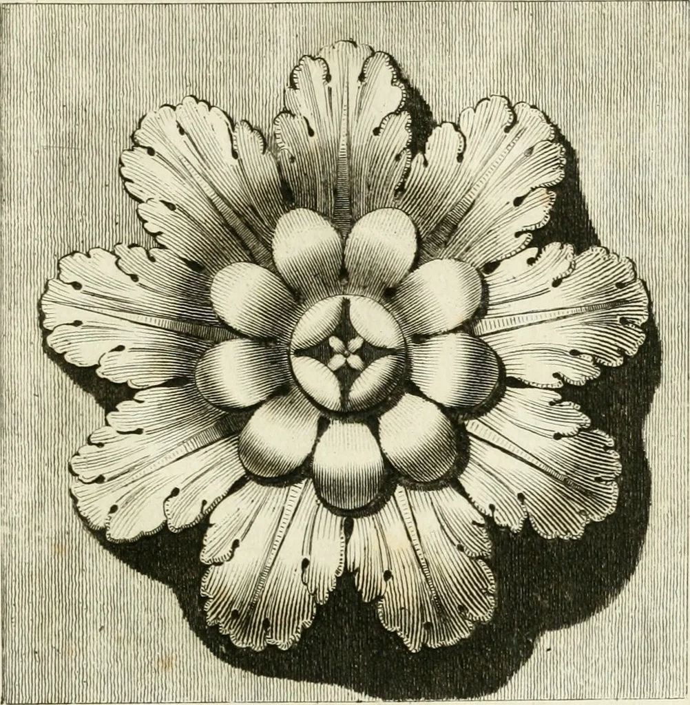 An illustration from Manuale di varj ornamenti tratti dalle fabbriche, e frammenti antichi : per uso, e commodo de' pittori, scultori, architetti, scarpellini, stuccatori, intagliatori di pietre, e legni, argentieri, giojellieri, ricamatori, ebanisti & c., 1781, leaf 32