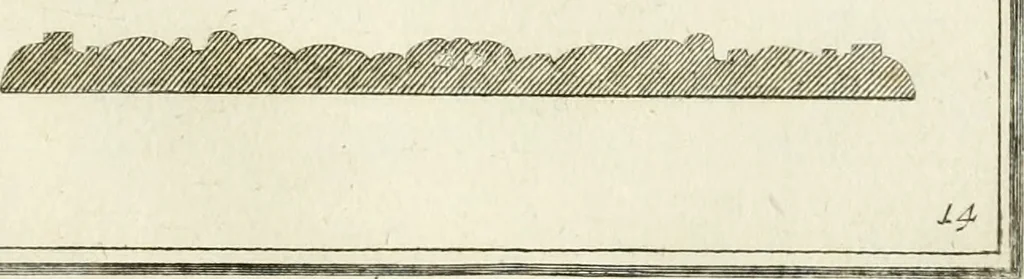 An illustration from Manuale di varj ornamenti tratti dalle fabbriche, e frammenti antichi : per uso, e commodo de' pittori, scultori, architetti, scarpellini, stuccatori, intagliatori di pietre, e legni, argentieri, giojellieri, ricamatori, ebanisti & c., 1781, leaf 36