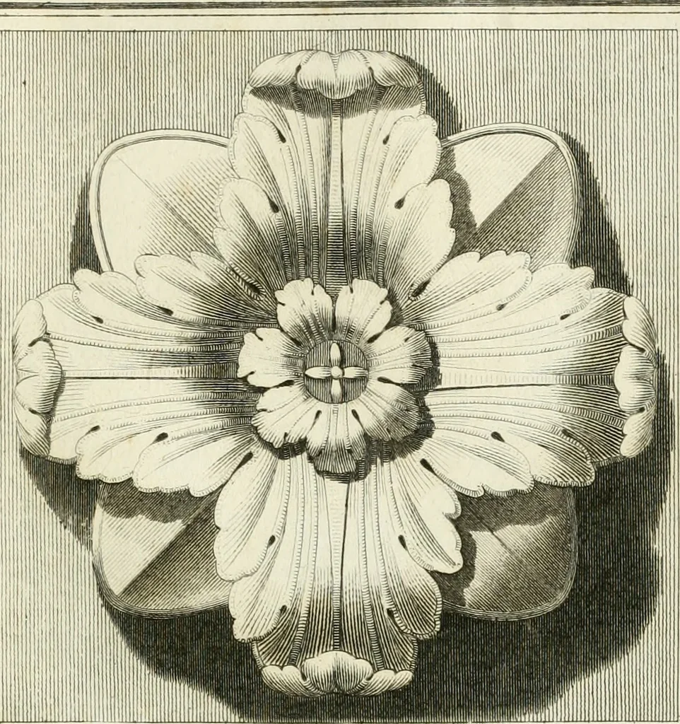 An illustration from Manuale di varj ornamenti tratti dalle fabbriche, e frammenti antichi : per uso, e commodo de' pittori, scultori, architetti, scarpellini, stuccatori, intagliatori di pietre, e legni, argentieri, giojellieri, ricamatori, ebanisti & c., 1781, leaf 42