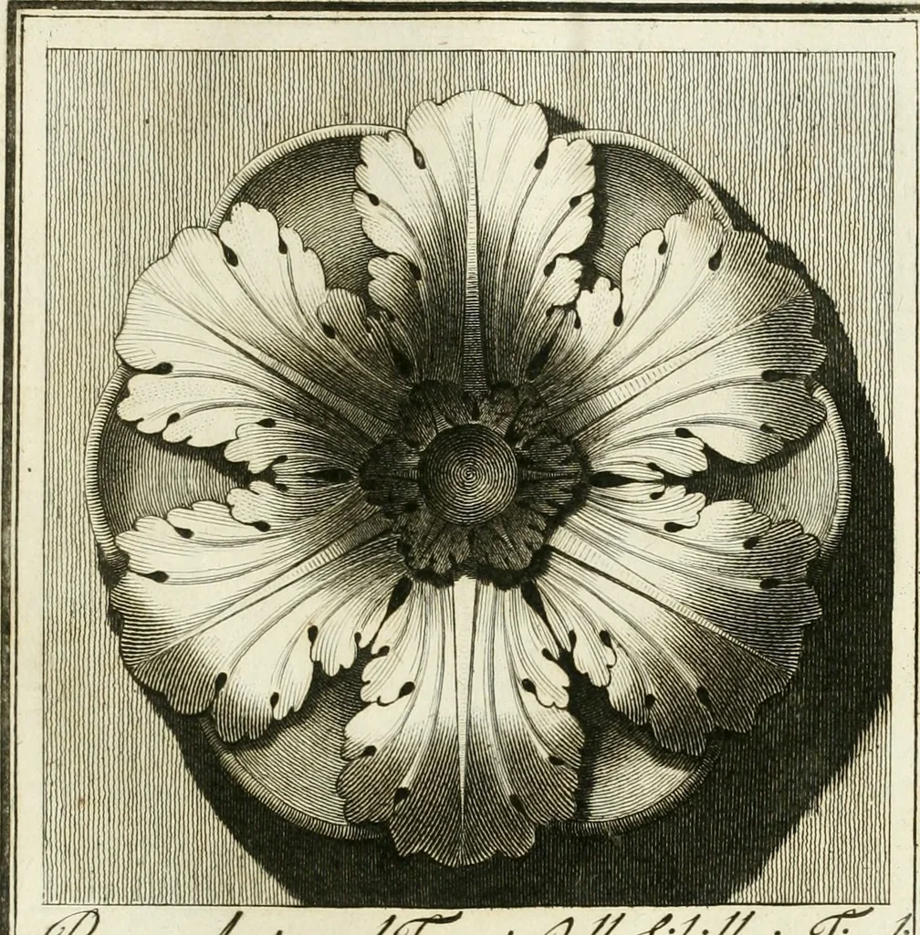 An illustration from Manuale di varj ornamenti tratti dalle fabbriche, e frammenti antichi : per uso, e commodo de' pittori, scultori, architetti, scarpellini, stuccatori, intagliatori di pietre, e legni, argentieri, giojellieri, ricamatori, ebanisti & c., 1781, leaf 44