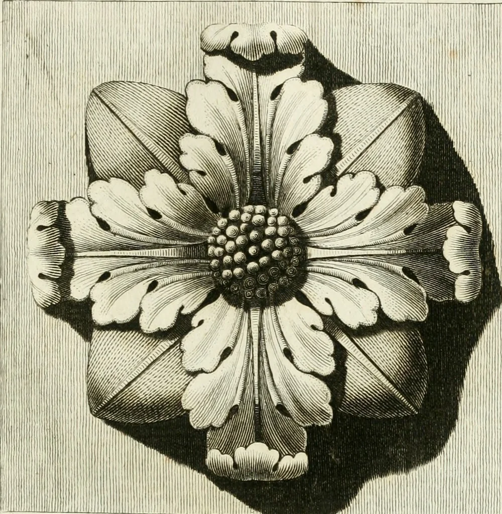 An illustration from Manuale di varj ornamenti tratti dalle fabbriche, e frammenti antichi : per uso, e commodo de' pittori, scultori, architetti, scarpellini, stuccatori, intagliatori di pietre, e legni, argentieri, giojellieri, ricamatori, ebanisti & c., 1781, leaf 46