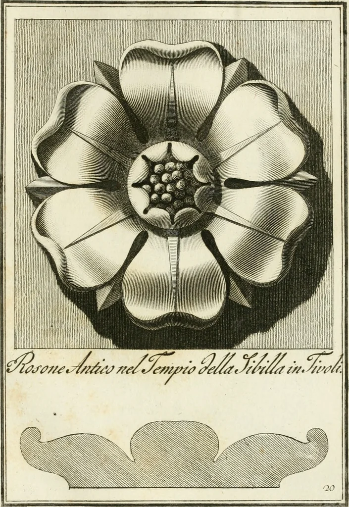 An illustration from Manuale di varj ornamenti tratti dalle fabbriche, e frammenti antichi : per uso, e commodo de' pittori, scultori, architetti, scarpellini, stuccatori, intagliatori di pietre, e legni, argentieri, giojellieri, ricamatori, ebanisti & c., 1781, leaf 48