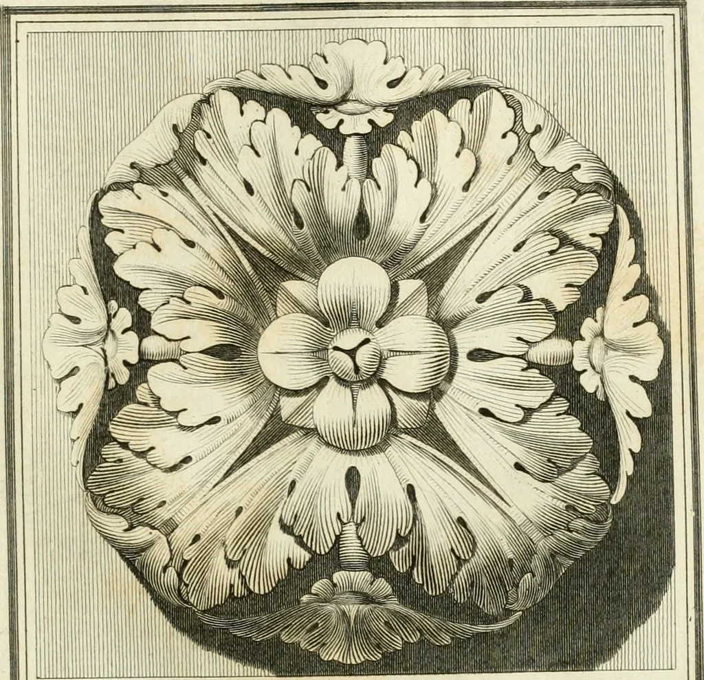 An illustration from Manuale di varj ornamenti tratti dalle fabbriche, e frammenti antichi : per uso, e commodo de' pittori, scultori, architetti, scarpellini, stuccatori, intagliatori di pietre, e legni, argentieri, giojellieri, ricamatori, ebanisti & c., 1781, leaf 50