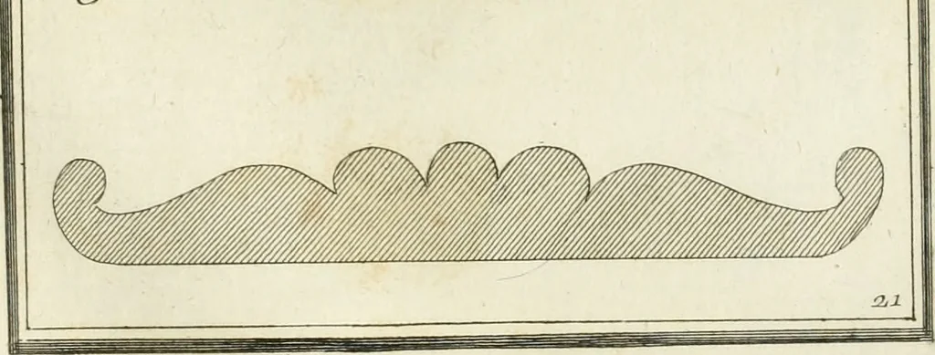 An illustration from Manuale di varj ornamenti tratti dalle fabbriche, e frammenti antichi : per uso, e commodo de' pittori, scultori, architetti, scarpellini, stuccatori, intagliatori di pietre, e legni, argentieri, giojellieri, ricamatori, ebanisti & c., 1781, leaf 50