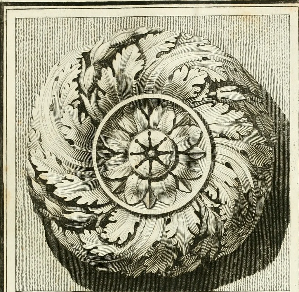 An illustration from Manuale di varj ornamenti tratti dalle fabbriche, e frammenti antichi : per uso, e commodo de' pittori, scultori, architetti, scarpellini, stuccatori, intagliatori di pietre, e legni, argentieri, giojellieri, ricamatori, ebanisti & c., 1781, leaf 56