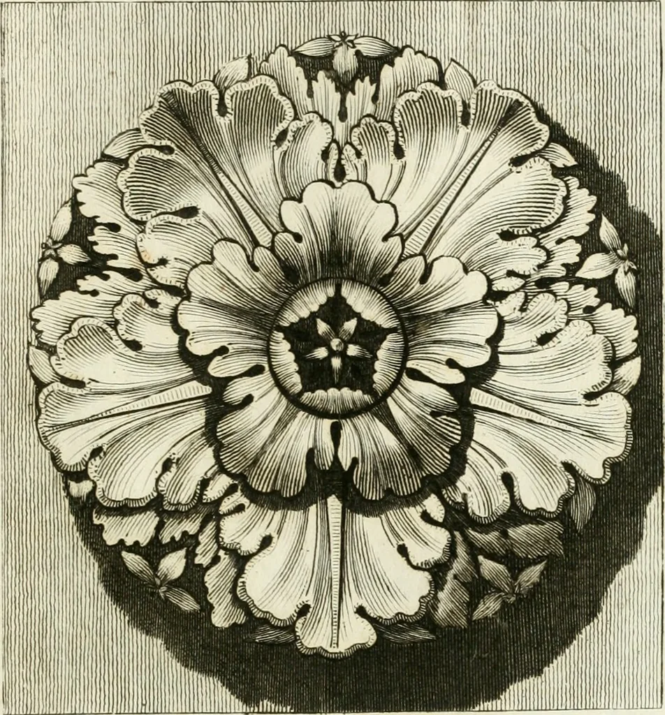 An illustration from Manuale di varj ornamenti tratti dalle fabbriche, e frammenti antichi : per uso, e commodo de' pittori, scultori, architetti, scarpellini, stuccatori, intagliatori di pietre, e legni, argentieri, giojellieri, ricamatori, ebanisti & c., 1781, leaf 66