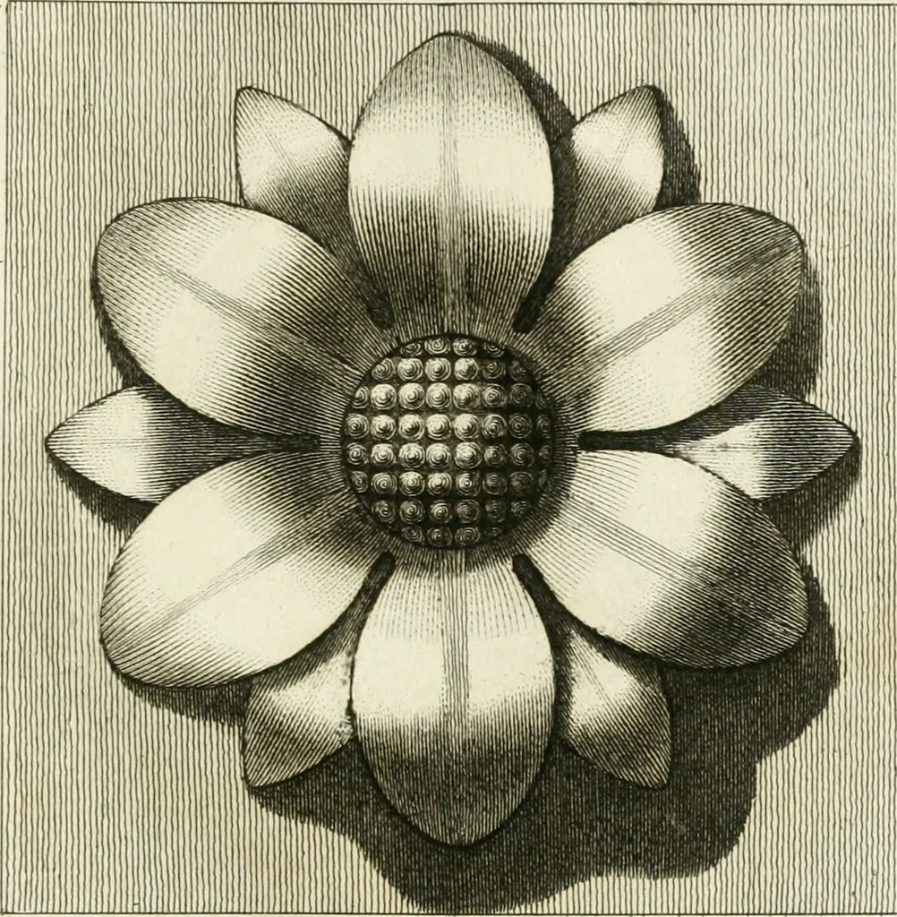 An illustration from Manuale di varj ornamenti tratti dalle fabbriche, e frammenti antichi : per uso, e commodo de' pittori, scultori, architetti, scarpellini, stuccatori, intagliatori di pietre, e legni, argentieri, giojellieri, ricamatori, ebanisti & c., 1781, leaf 78
