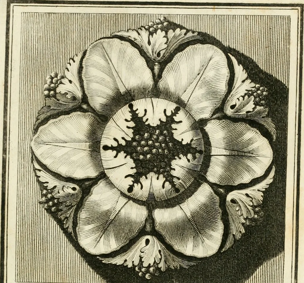 An illustration from Manuale di varj ornamenti tratti dalle fabbriche, e frammenti antichi : per uso, e commodo de' pittori, scultori, architetti, scarpellini, stuccatori, intagliatori di pietre, e legni, argentieri, giojellieri, ricamatori, ebanisti & c., 1781, leaf 90