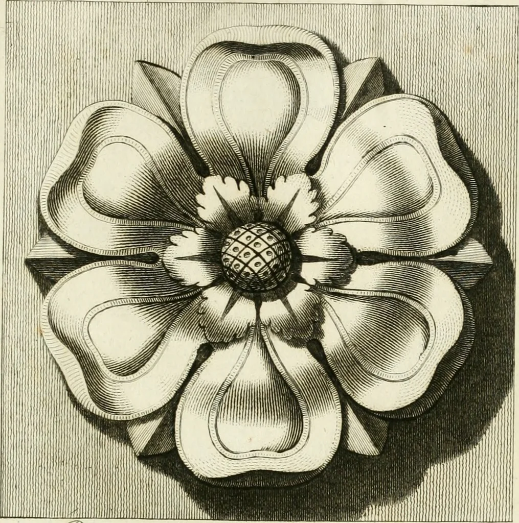 An illustration from Manuale di varj ornamenti tratti dalle fabbriche, e frammenti antichi : per uso, e commodo de' pittori, scultori, architetti, scarpellini, stuccatori, intagliatori di pietre, e legni, argentieri, giojellieri, ricamatori, ebanisti & c., 1781, leaf 92