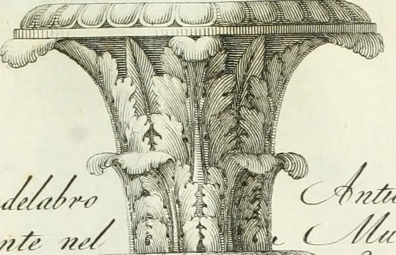 An illustration from Manuale di varj ornamenti tratti dalle fabbriche, e frammenti antichi : per uso, e commodo de' pittori, scultori, architetti, scarpellini, stuccatori, intagliatori di pietre, e legni, argentieri, giojellieri, ricamatori, ebanisti & c., 1781, leaf 20