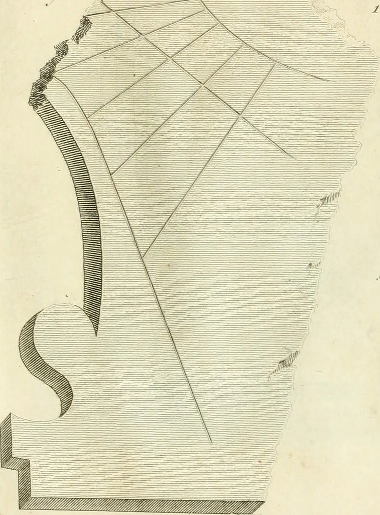 An illustration from Manuale di varj ornamenti tratti dalle fabbriche, e frammenti antichi : per uso, e commodo de' pittori, scultori, architetti, scarpellini, stuccatori, intagliatori di pietre, e legni, argentieri, giojellieri, ricamatori, ebanisti & c., 1781, leaf 94