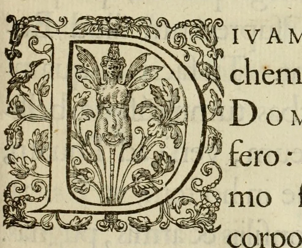 An illustration from Diva virgo Hallensis : Beneficia eius & miracvla fide atque ordine descripta, 1605, leaf 113