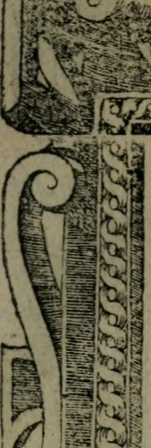 An illustration from Diverse imprese accommodate a diuerse moralità : con versi che i loro significati dichiarano insieme con molte altre nella lingua Italiana non piu tradotte, 1551, leaf 10