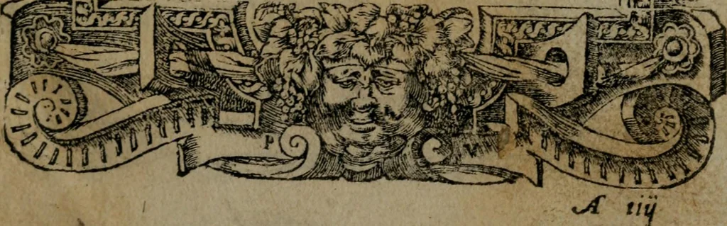 An illustration from Diverse imprese accommodate a diuerse moralità : con versi che i loro significati dichiarano insieme con molte altre nella lingua Italiana non piu tradotte, 1551, leaf 10