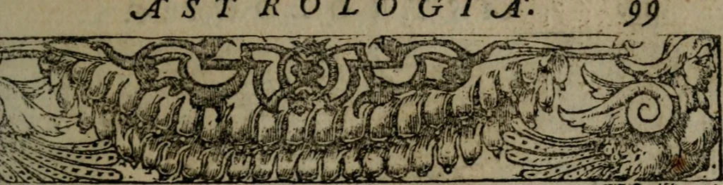 An illustration from Diverse imprese accommodate a diuerse moralità : con versi che i loro significati dichiarano insieme con molte altre nella lingua Italiana non piu tradotte, 1551, leaf 102
