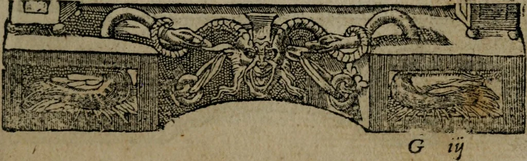 An illustration from Diverse imprese accommodate a diuerse moralità : con versi che i loro significati dichiarano insieme con molte altre nella lingua Italiana non piu tradotte, 1551, leaf 104