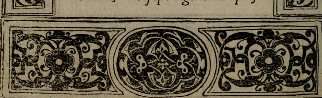An illustration from Diverse imprese accommodate a diuerse moralità : con versi che i loro significati dichiarano insieme con molte altre nella lingua Italiana non piu tradotte, 1551, leaf 109