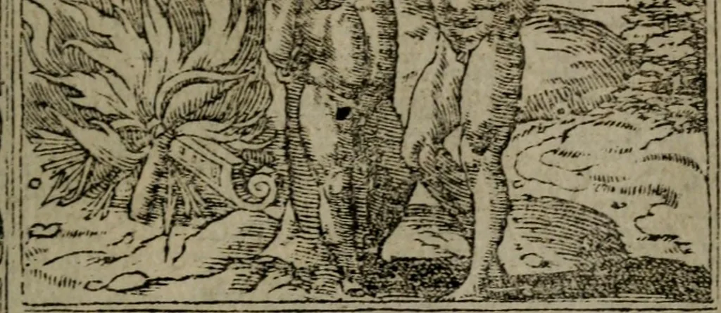 An illustration from Diverse imprese accommodate a diuerse moralità : con versi che i loro significati dichiarano insieme con molte altre nella lingua Italiana non piu tradotte, 1551, leaf 110