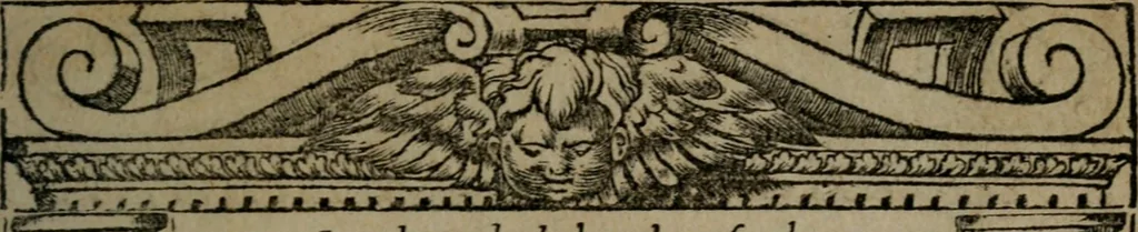 An illustration from Diverse imprese accommodate a diuerse moralità : con versi che i loro significati dichiarano insieme con molte altre nella lingua Italiana non piu tradotte, 1551, leaf 124