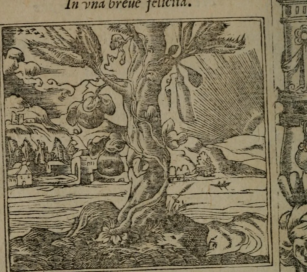 An illustration from Diverse imprese accommodate a diuerse moralità : con versi che i loro significati dichiarano insieme con molte altre nella lingua Italiana non piu tradotte, 1551, leaf 125