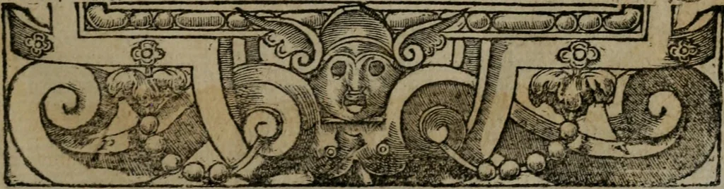 An illustration from Diverse imprese accommodate a diuerse moralità : con versi che i loro significati dichiarano insieme con molte altre nella lingua Italiana non piu tradotte, 1551, leaf 126