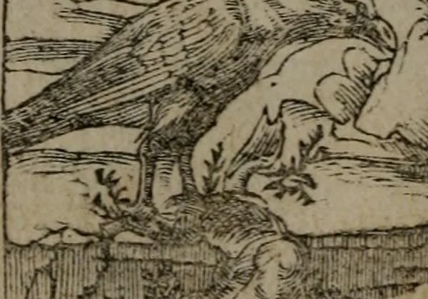 An illustration from Diverse imprese accommodate a diuerse moralità : con versi che i loro significati dichiarano insieme con molte altre nella lingua Italiana non piu tradotte, 1551, leaf 129
