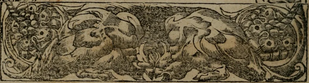 An illustration from Diverse imprese accommodate a diuerse moralità : con versi che i loro significati dichiarano insieme con molte altre nella lingua Italiana non piu tradotte, 1551, leaf 129