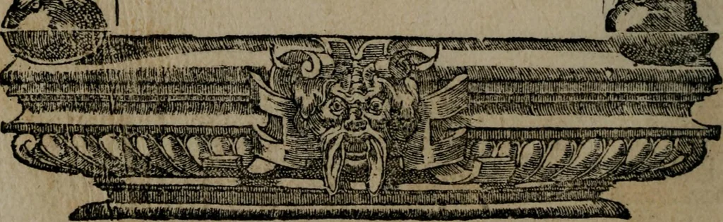 An illustration from Diverse imprese accommodate a diuerse moralità : con versi che i loro significati dichiarano insieme con molte altre nella lingua Italiana non piu tradotte, 1551, leaf 145