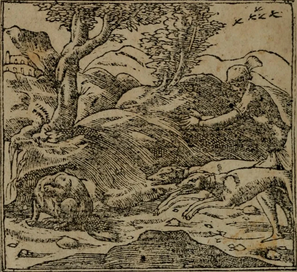 An illustration from Diverse imprese accommodate a diuerse moralità : con versi che i loro significati dichiarano insieme con molte altre nella lingua Italiana non piu tradotte, 1551, leaf 149