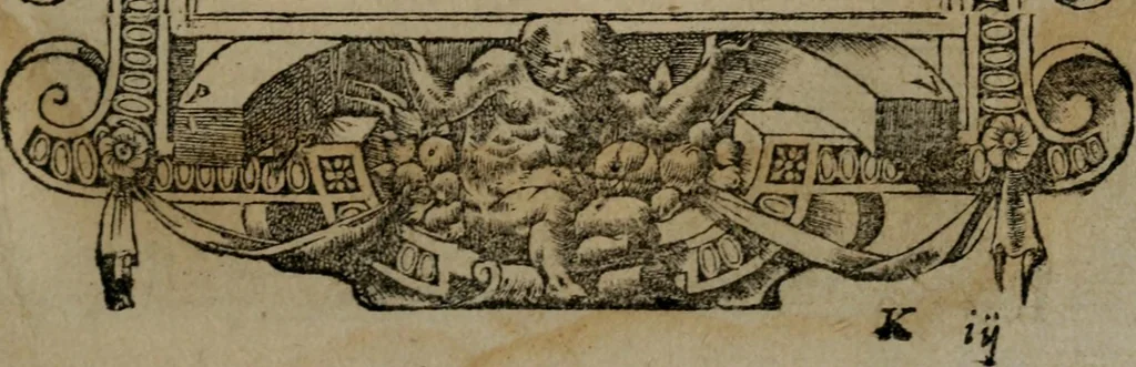 An illustration from Diverse imprese accommodate a diuerse moralità : con versi che i loro significati dichiarano insieme con molte altre nella lingua Italiana non piu tradotte, 1551, leaf 152