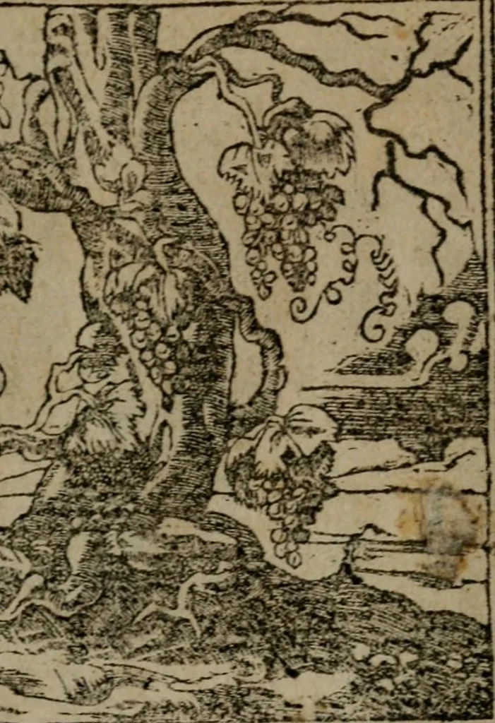 An illustration from Diverse imprese accommodate a diuerse moralità : con versi che i loro significati dichiarano insieme con molte altre nella lingua Italiana non piu tradotte, 1551, leaf 154