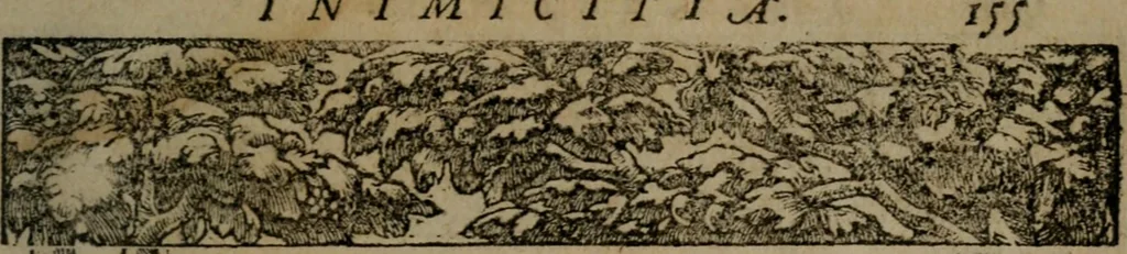An illustration from Diverse imprese accommodate a diuerse moralità : con versi che i loro significati dichiarano insieme con molte altre nella lingua Italiana non piu tradotte, 1551, leaf 158