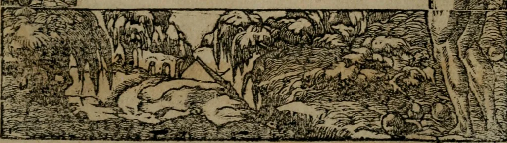 An illustration from Diverse imprese accommodate a diuerse moralità : con versi che i loro significati dichiarano insieme con molte altre nella lingua Italiana non piu tradotte, 1551, leaf 158
