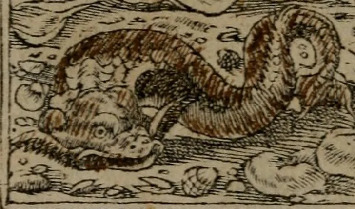 An illustration from Diverse imprese accommodate a diuerse moralità : con versi che i loro significati dichiarano insieme con molte altre nella lingua Italiana non piu tradotte, 1551, leaf 159