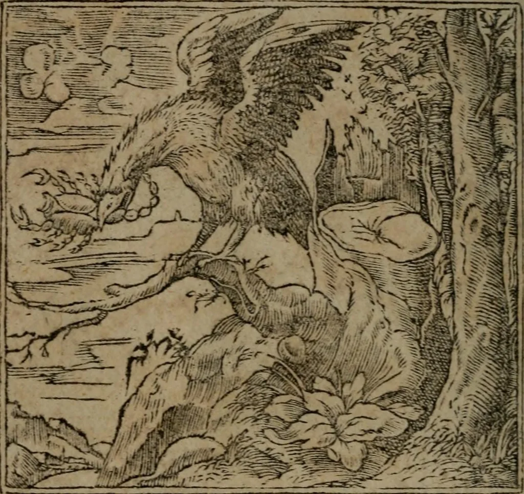 An illustration from Diverse imprese accommodate a diuerse moralità : con versi che i loro significati dichiarano insieme con molte altre nella lingua Italiana non piu tradotte, 1551, leaf 163