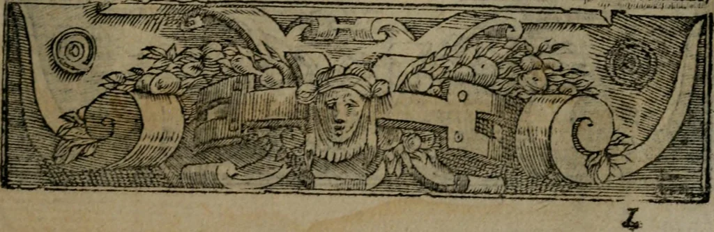 An illustration from Diverse imprese accommodate a diuerse moralità : con versi che i loro significati dichiarano insieme con molte altre nella lingua Italiana non piu tradotte, 1551, leaf 164
